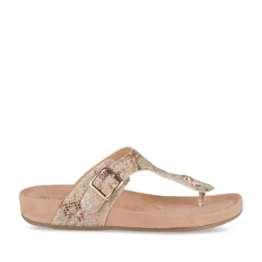 Slippers GOUD MERRY SCOTT