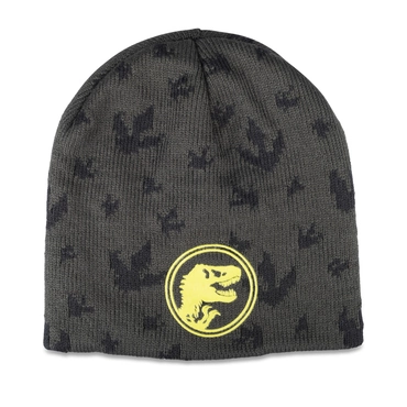 Hat GREY JURASSIC WORLD