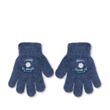 Gloves BLUE FROZEN