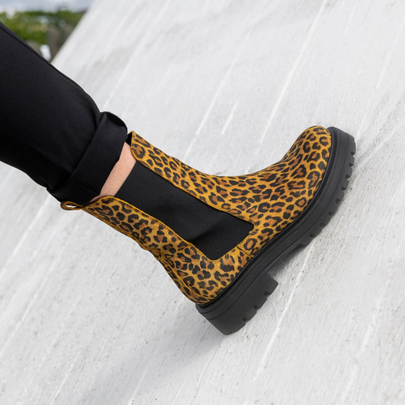 Ankle boots LEOPARD SINEQUANONE