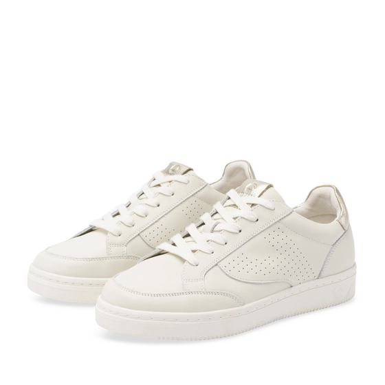 Sneakers BEIGE PATAUGAS