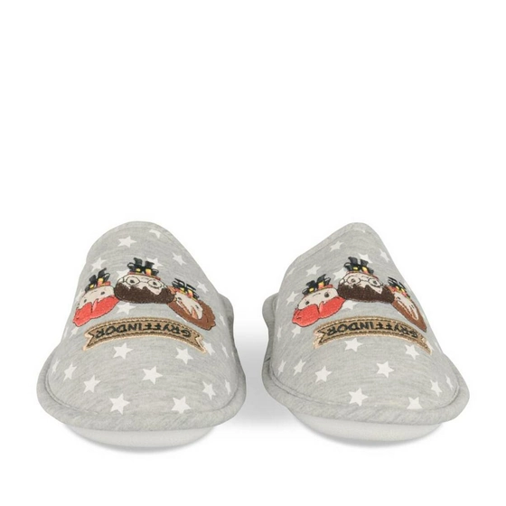 Chaussons GRIS HARRY POTTER