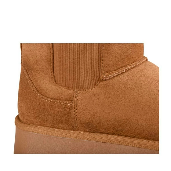 Ankle boots COGNAC MERRY SCOTT