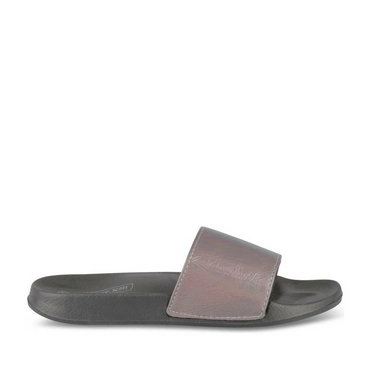 Flip flops PEWTER MERRY SCOTT