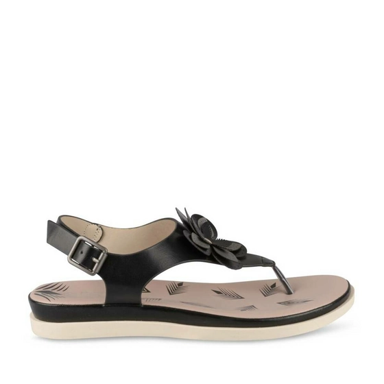 Sandals BLACK MERRY SCOTT