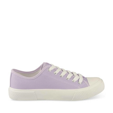 Sneakers PURPLE MERRY SCOTT