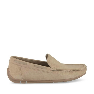 Chaussures bateau TAUPE CAPE BOARD