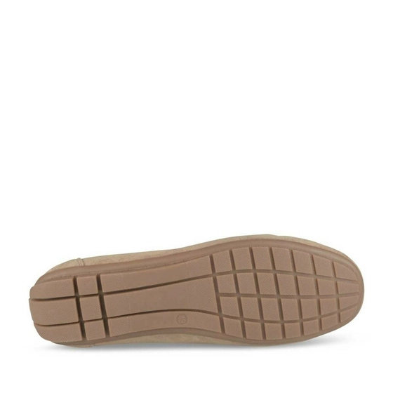 Boat shoes TAUPE CAPE BOARD