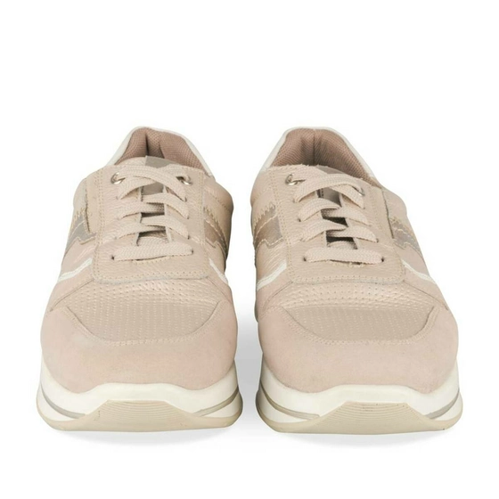 Sneakers TAUPE PIERRE CARDIN