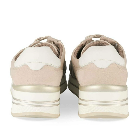 Baskets TAUPE PIERRE CARDIN