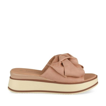 Slippers ROZE MERRY SCOTT