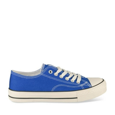 Sneakers BLAUW MERRY SCOTT