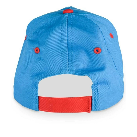 Cap MULTICOLOR PAW PATROL