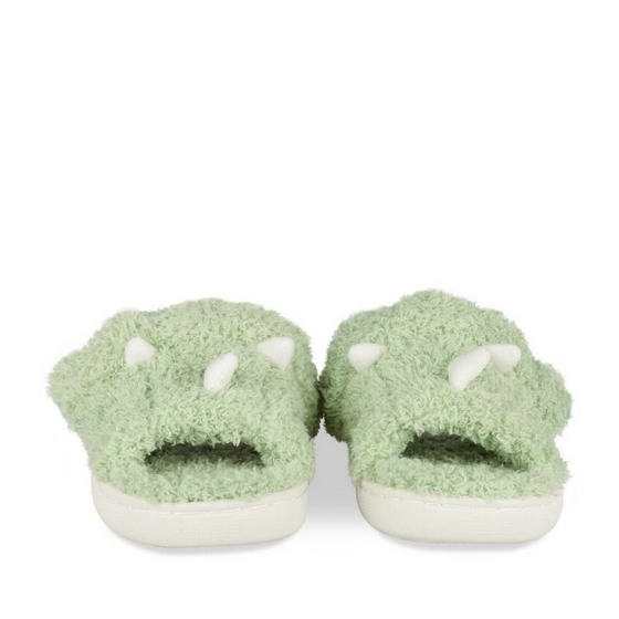 Chaussons VERT TAMS