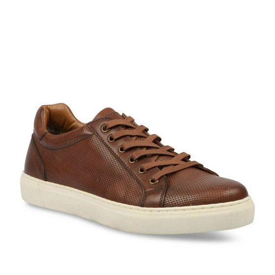 Sneakers BROWN DENIM SIDE CUIR