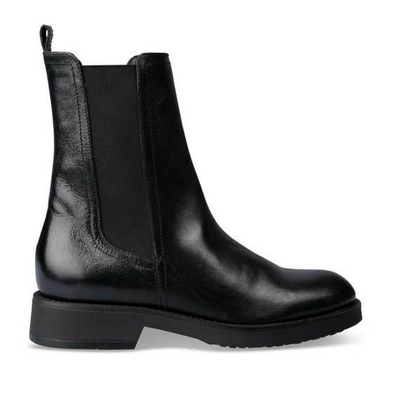 Ankle boots BLACK SINEQUANONE