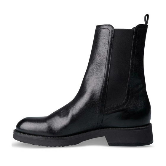 Ankle boots BLACK SINEQUANONE