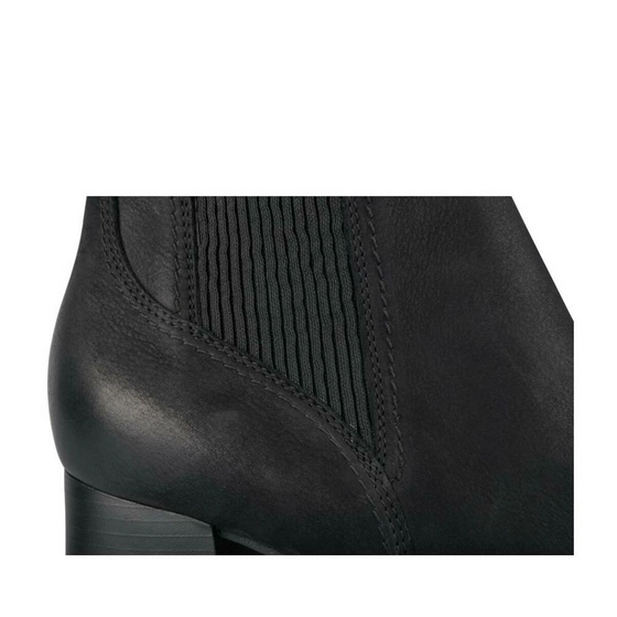 Ankle boots BLACK SINEQUANONE