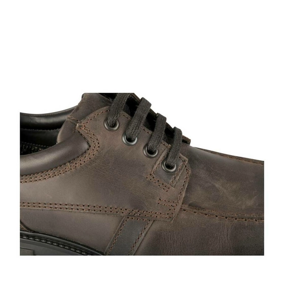 Derbies BROWN MEGIS CASUAL