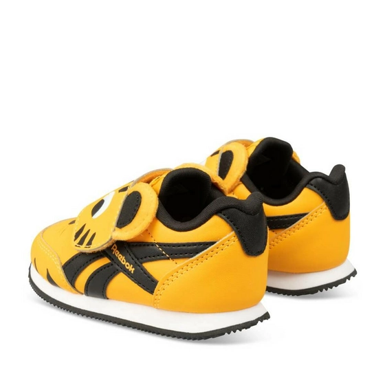 Sneakers ORANGE REEBOK Royal Cljog