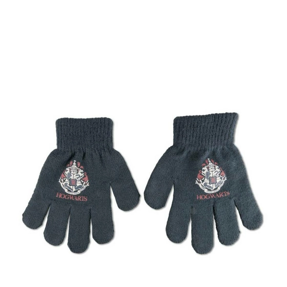 Gants MARINE HARRY POTTER