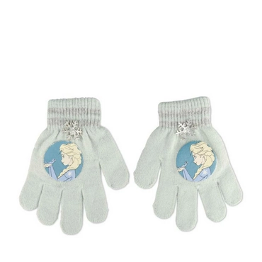 Gants BLEU FROZEN