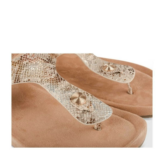 Teenslippers GOUD MERRY SCOTT