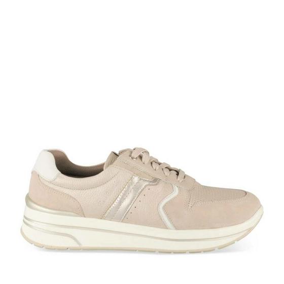 Sneakers TAUPE PIERRE CARDIN