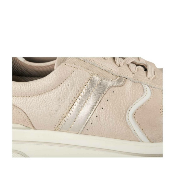 Sneakers TAUPE PIERRE CARDIN