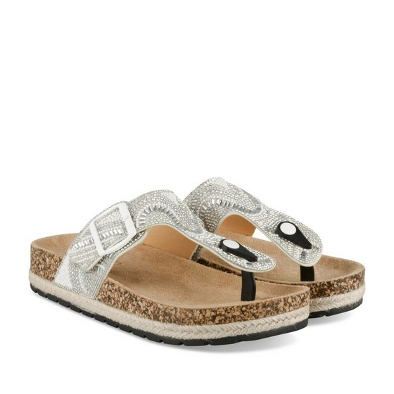 Teenslippers ZILVER MERRY SCOTT