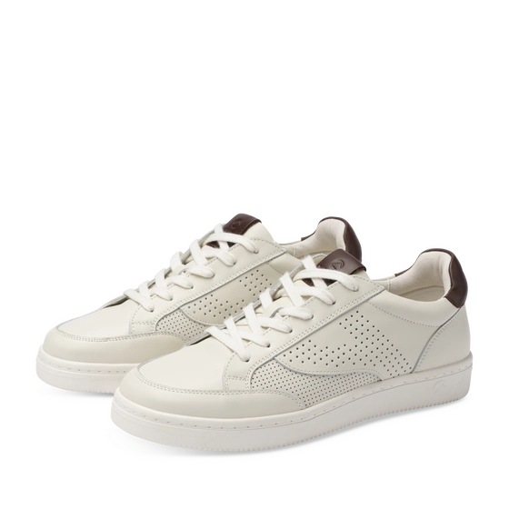 Sneakers BEIGE PATAUGAS