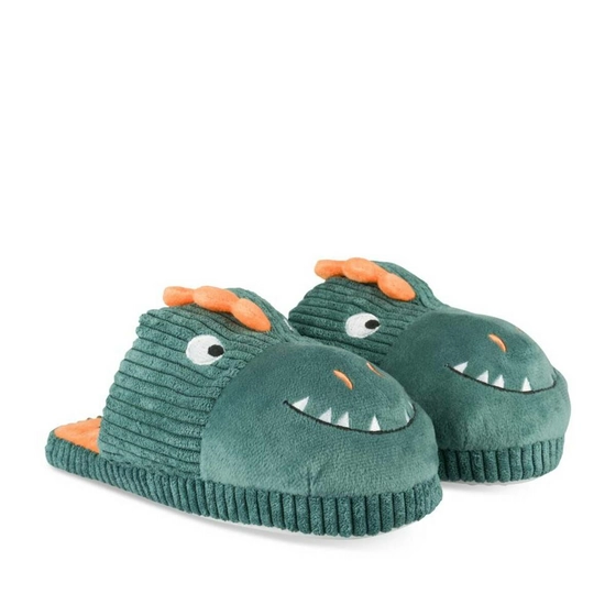 Chaussons dinosaure VERT TAMS